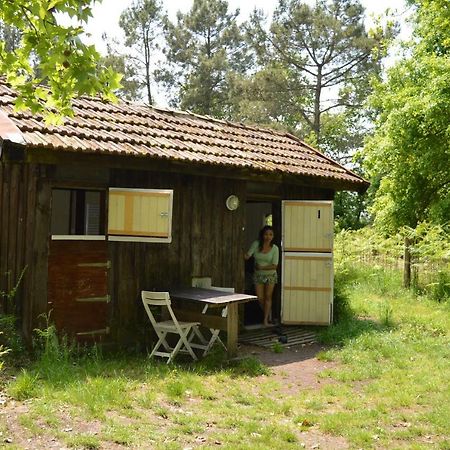Cabane En Foret Onesse-et-Laharie Exterior photo