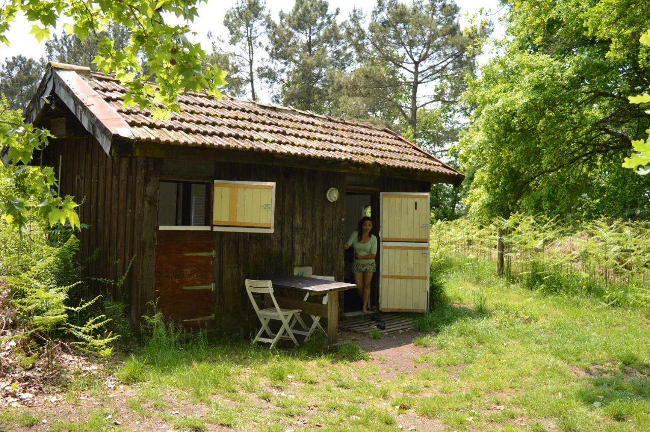 Cabane En Foret Onesse-et-Laharie Exterior photo